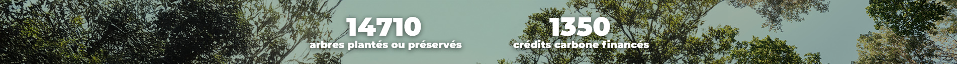 11710 arbres plantés ou préservés